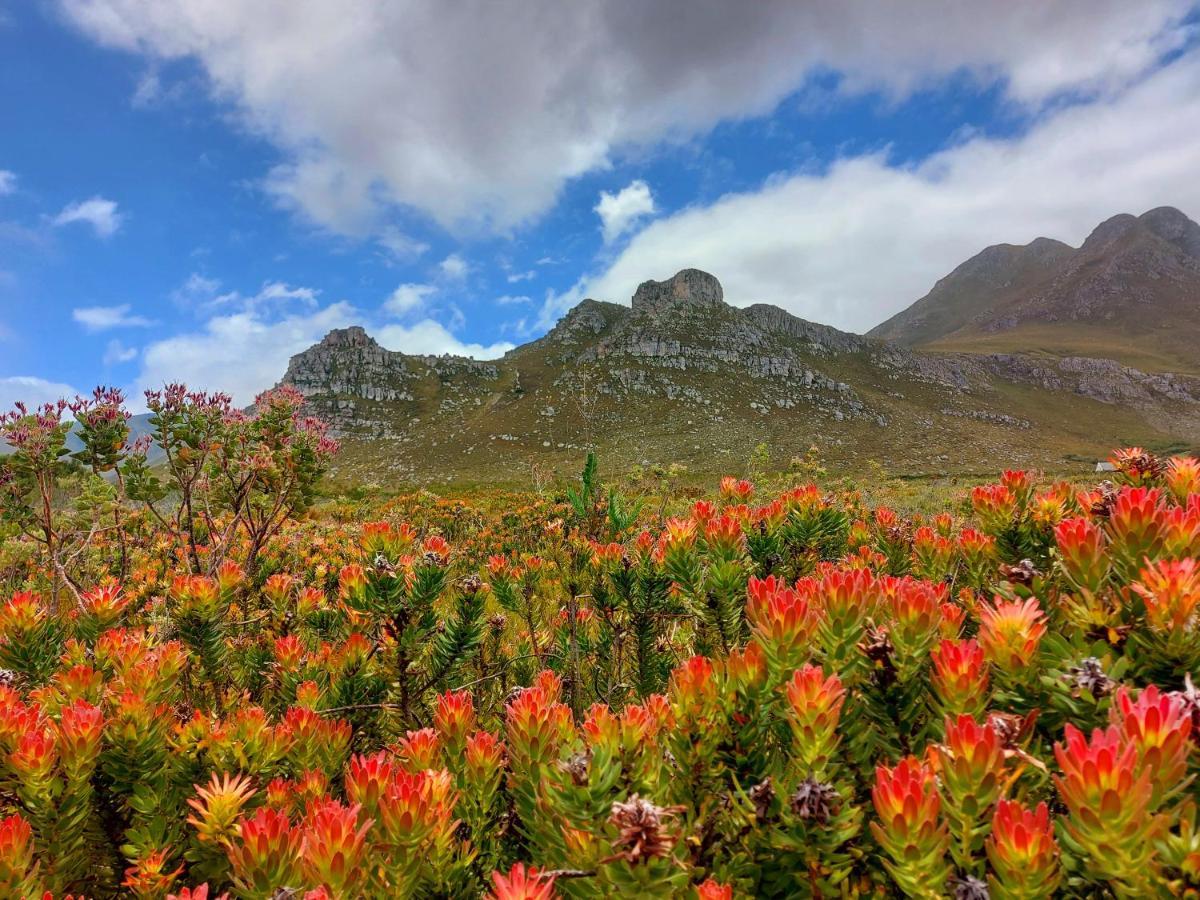 La Mer Seafront Selfcatering Accommodation Kleinmond Buitenkant foto